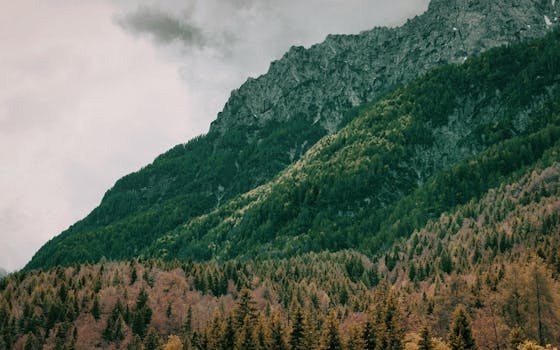 Optimize High-MP Photos for Faster Web Performance & Quality Preservation